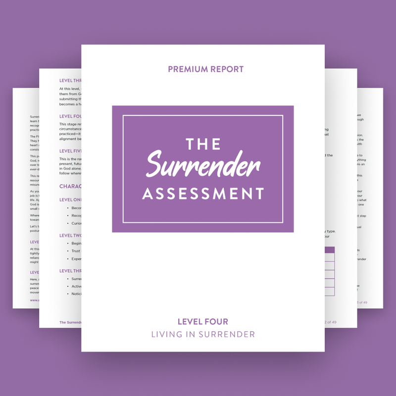 Product image for Living in Surrender - Premium Results image number 0